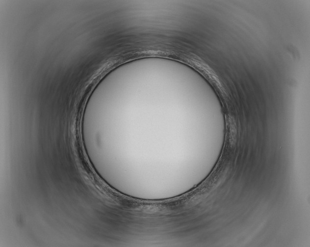 X0000110690482200906121059