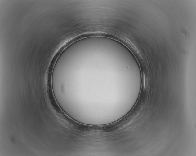 X0000110690483200906121059