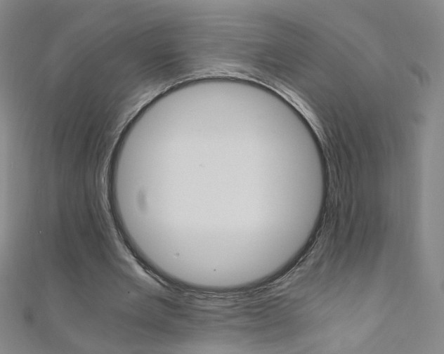 X0000110690485200906121059