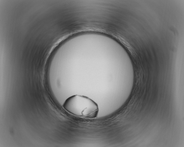 X0000110690488200906121059