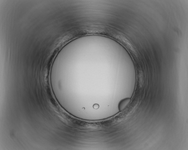 X0000110690490200906121059