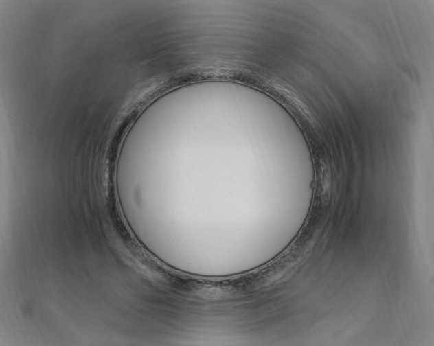 X0000110690494200906121059