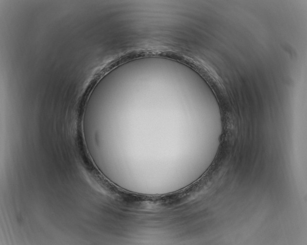 X0000110690496200906121059