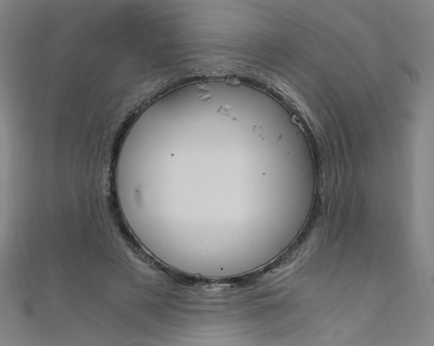 X0000110690497200906121059