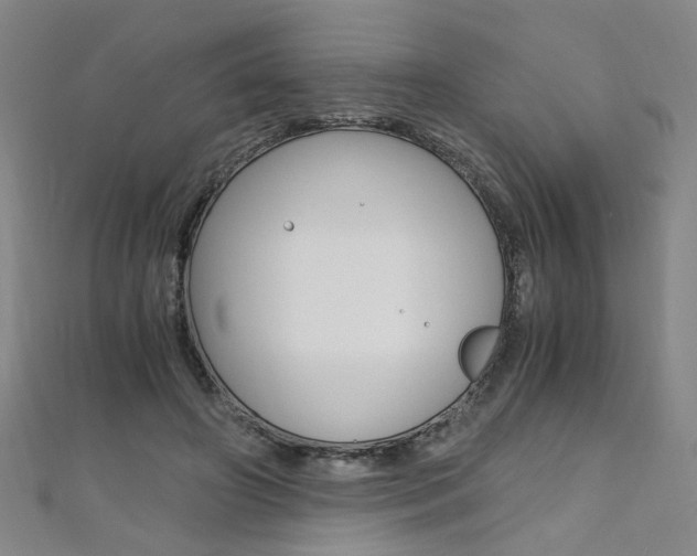 X0000110690498200906121059