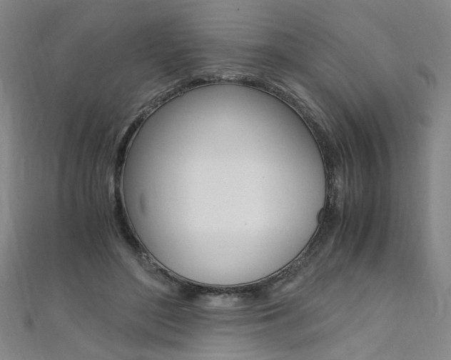X0000110690500200906121059