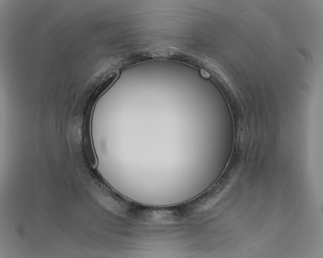 X0000110690501200906121059