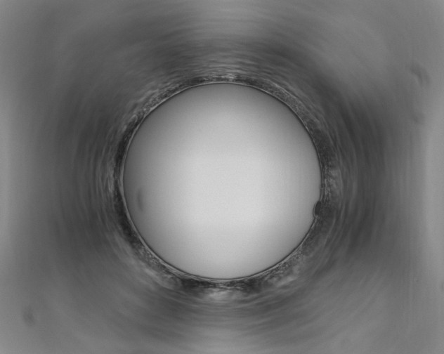 X0000110690504200906121059