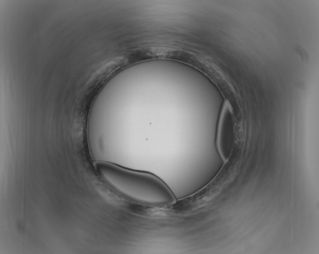 X0000110690505200906121059