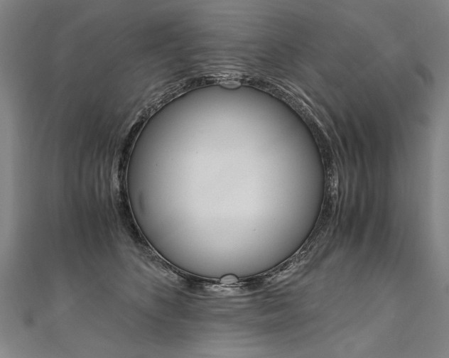 X0000110690516200906121059