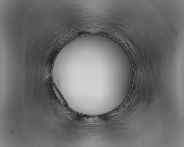 X0000110690517200906121059