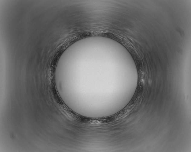 X0000110690519200906121058