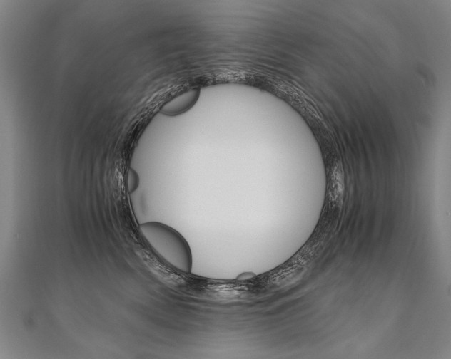X0000110690522200906121058