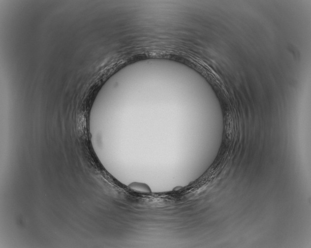X0000110690523200906121058