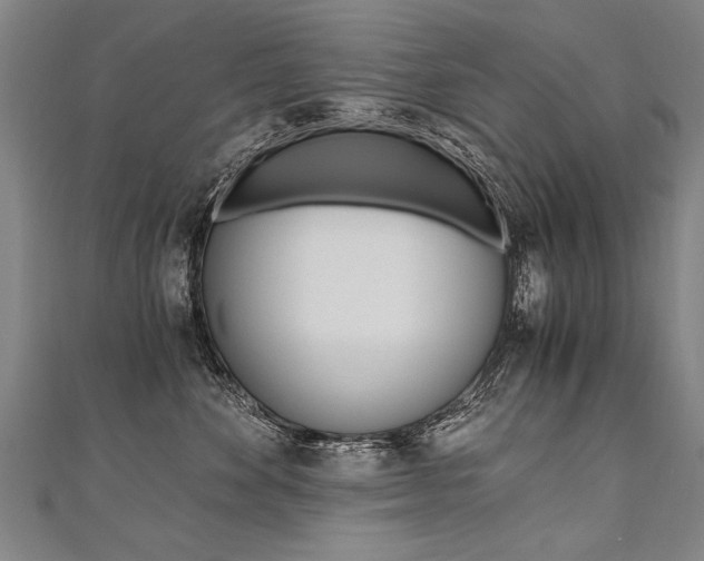 X0000110690524200906121058