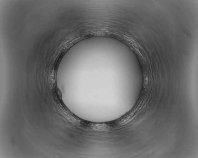 X0000110690525200906121058