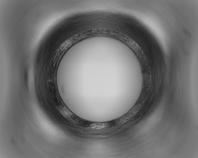 X0000110690526200906121058