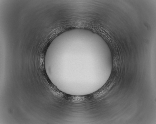 X0000110690527200906121058
