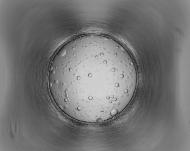 X0000110690529200906121058
