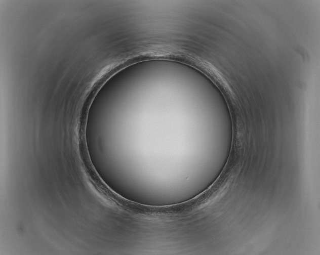 X0000110690530200906121058