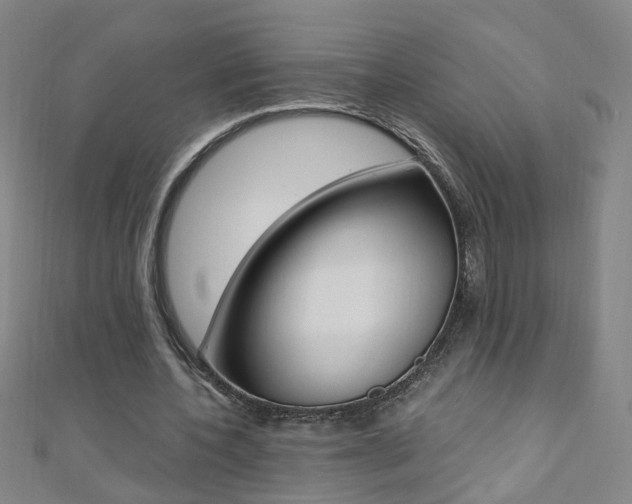 X0000110690532200906121058