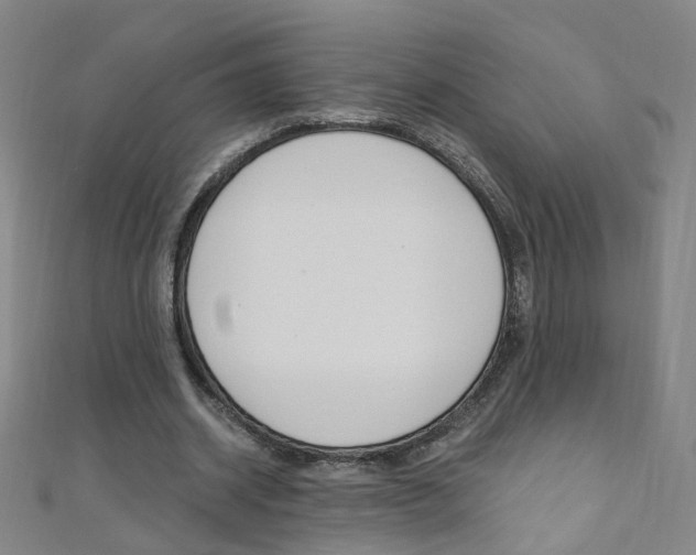 X0000110690534200906121058