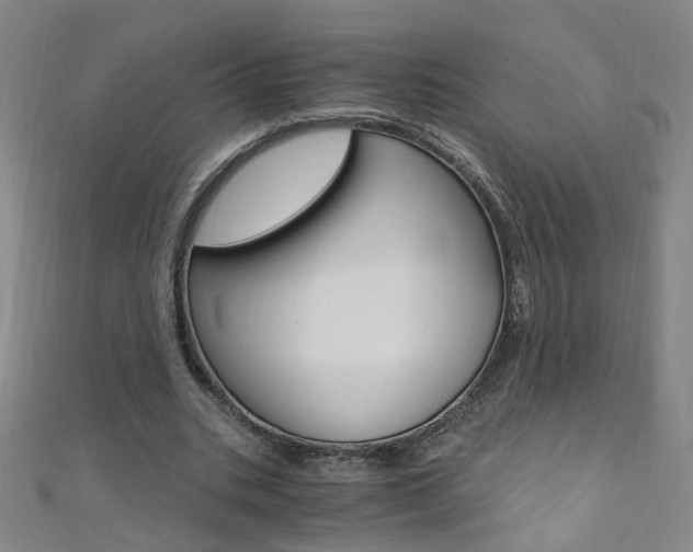 X0000110690535200906121058