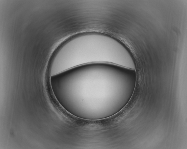 X0000110690536200906121058