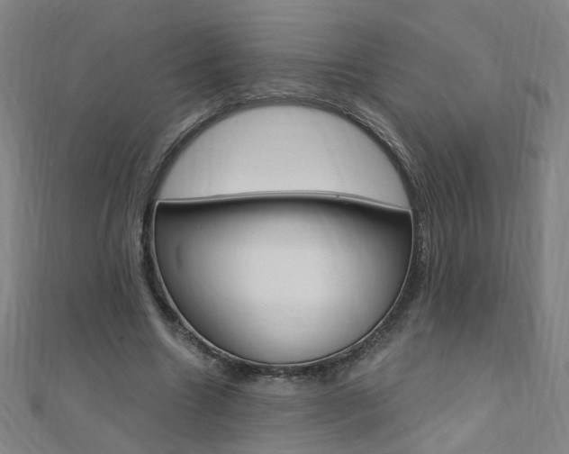 X0000110690538200906121058