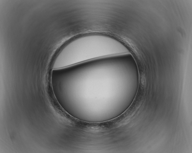 X0000110690540200906121058