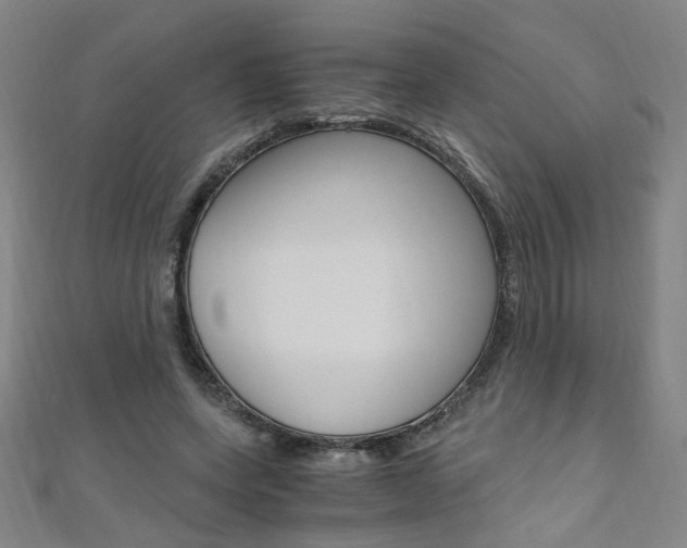 X0000110690543200906121058