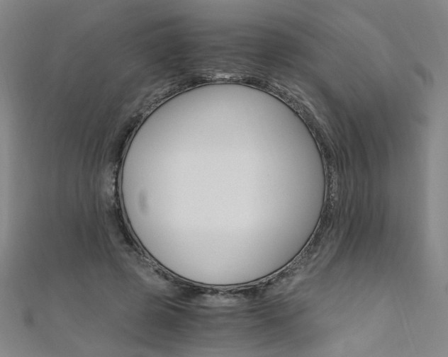 X0000110690545200906121058