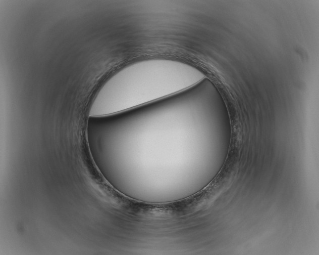 X0000110690546200906121058