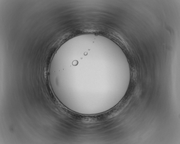 X0000110690549200906121058