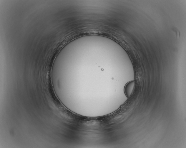 X0000110690551200906121058