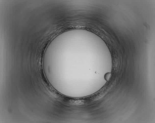 X0000110690553200906121058