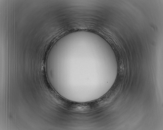 X0000110690555200906121058