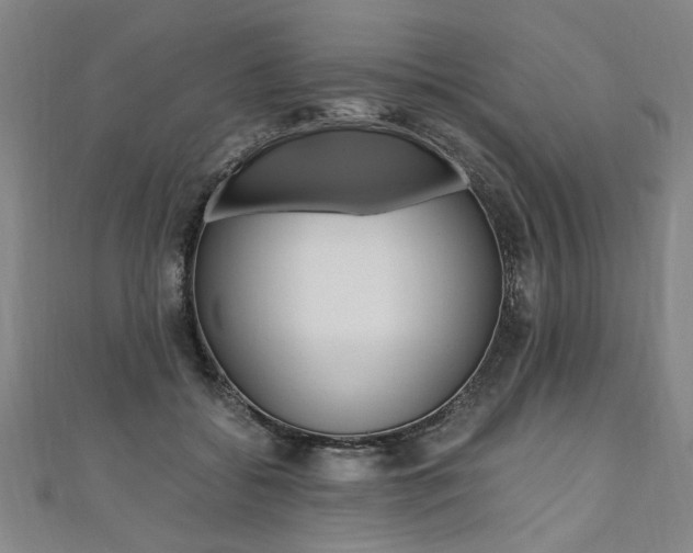 X0000110690556200906121058