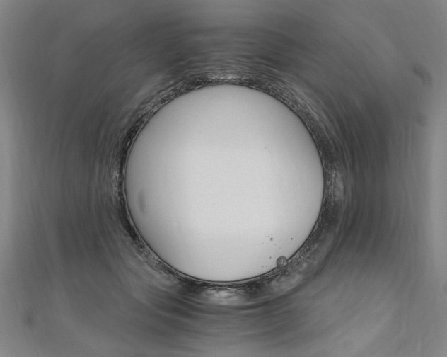 X0000110690557200906121058