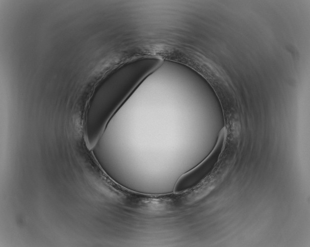 X0000110690558200906121058