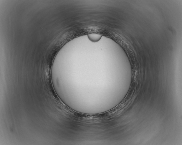 X0000110690561200906121058