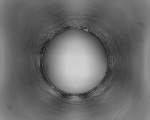X0000110690562200906121058