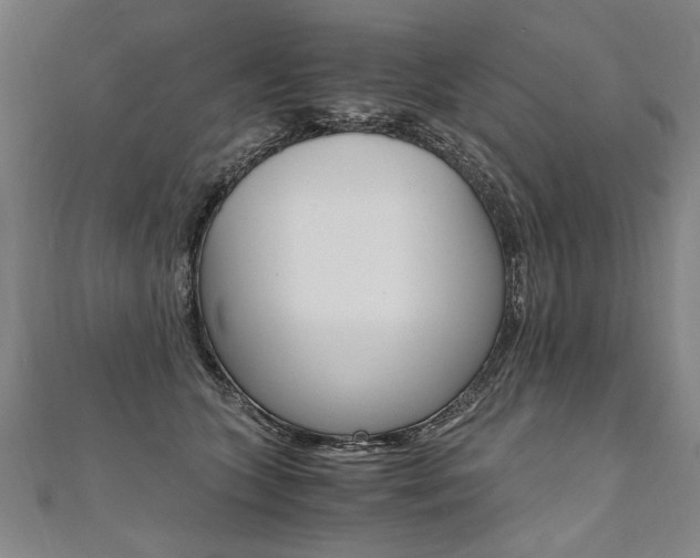 X0000110690563200906121058