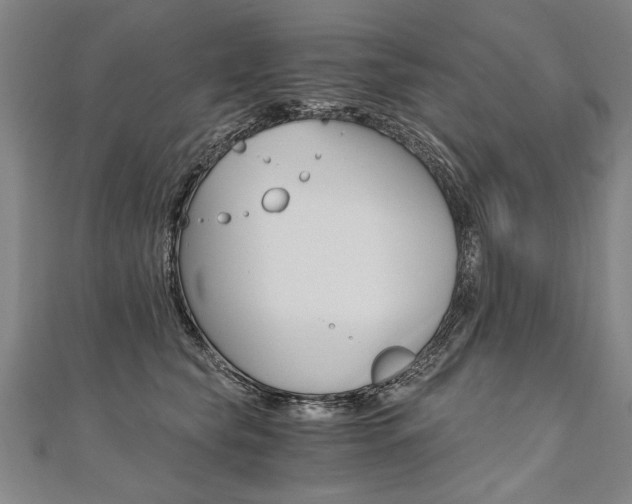 X0000110690565200906121058