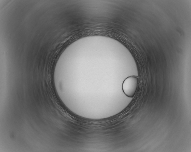 X0000110690566200906121058