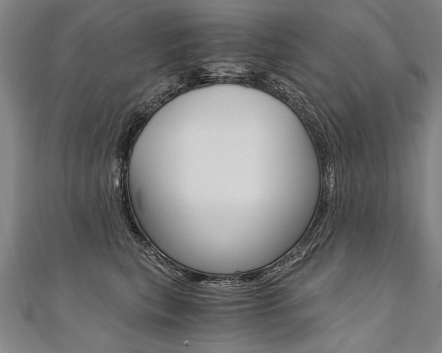 X0000110690567200906121058