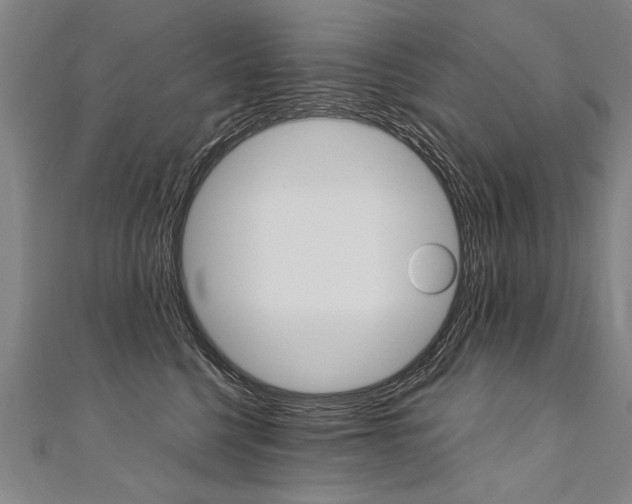 X0000110690568200906121058