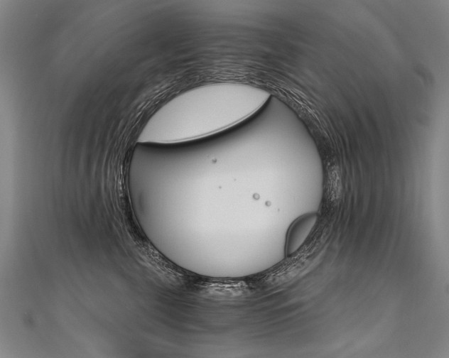 X0000110690571200906121058