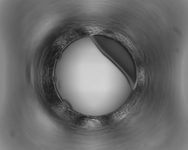 X0000110690572200906121058