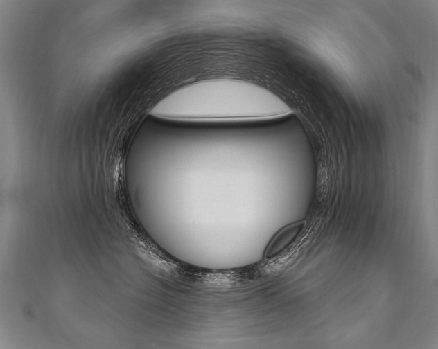 X0000110690574200906121058
